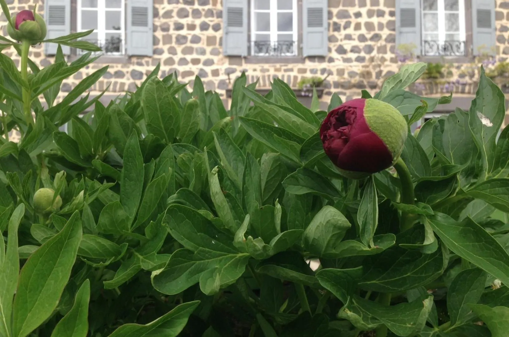 Bed & Breakfast Les Jardins D'Anna - Chambres D'Hotes Tapon Frankrijk